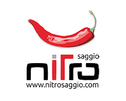 Logo Nitro Saggio
